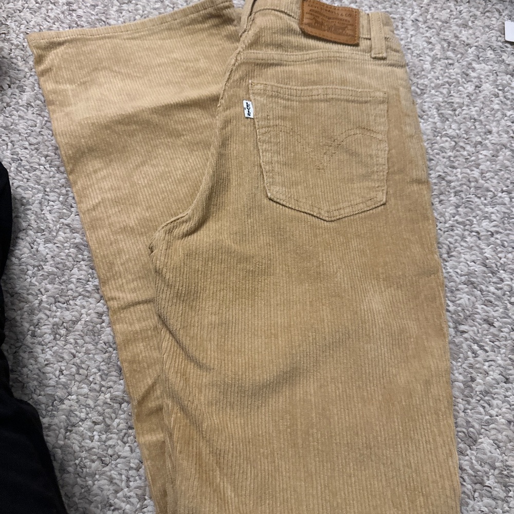 Corduroy